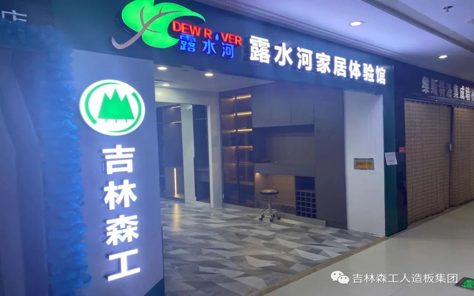 LD.COM乐动体育(中国)科技公司全屋定制专卖店---2022火热招商