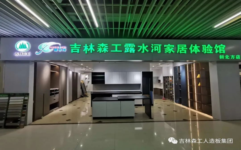 LD.COM乐动体育(中国)科技公司全屋定制专卖店---2022火热招商