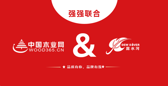 强强联合 LD.COM乐动体育(中国)科技公司和中国木业网达成战略合作