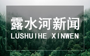 吉林森工LD.COM乐动体育(中国)科技公司集团与湖南金煌家居集团战略签约