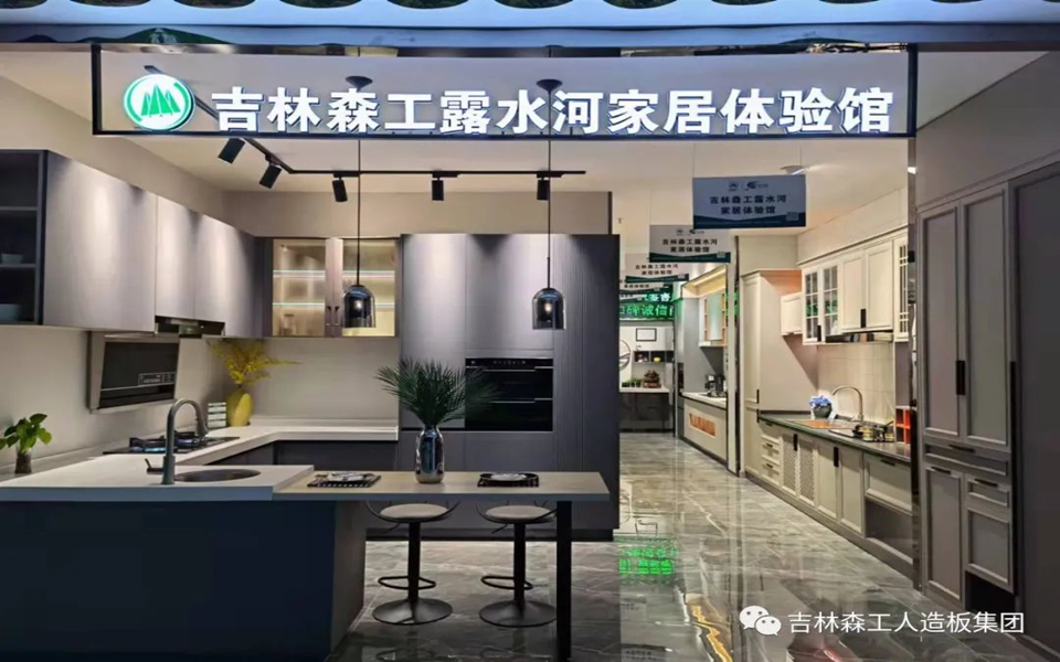 LD.COM乐动体育(中国)科技公司全屋定制专卖店---2022火热招商